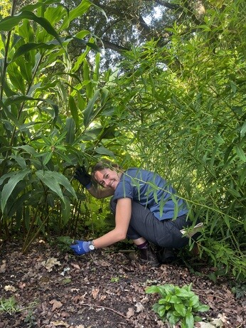 Weekly catch up with garden & propagation