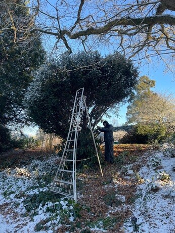 Weekly catch up with garden & propagation