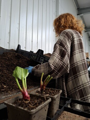 Behind the scenes in propagation- June Behind the scenes in propagation- June