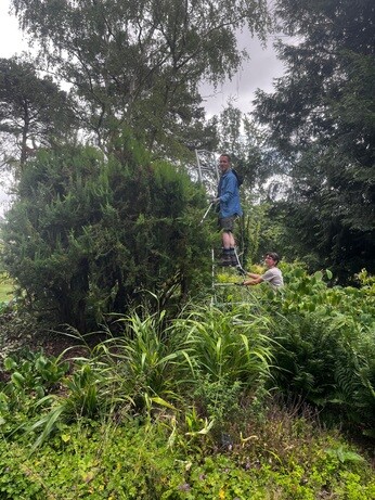 Weekly catch up with garden & propagation