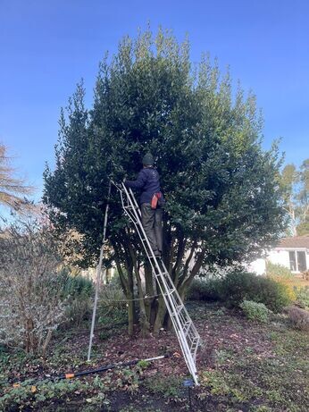 A look back at 2025 with the garden team A look back at 2025 with the garden team