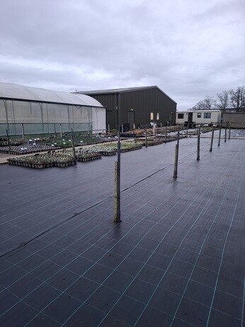 Weekly catch up with garden & propagation