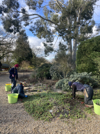 Weekly catch up with garden & propagation