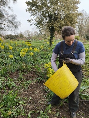 Weekly catch up with garden & propagation