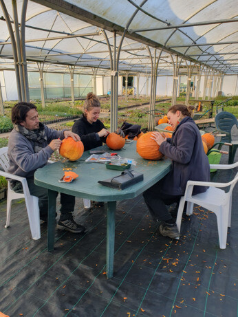 Weekly catch up with garden & propagation Weekly catch up with garden & propagation