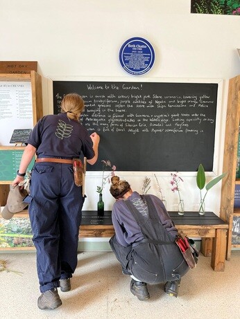 Weekly catch up with garden & propagation