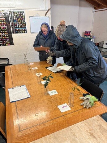 Weekly catch up with garden & propagation