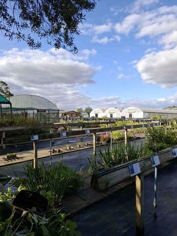 Weekly catchup with garden and propagation
