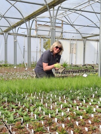 Weekly catch up with garden & propagation Weekly catch up with garden & propagation