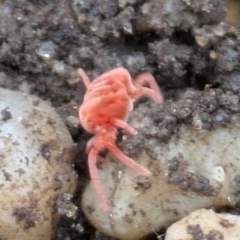 Wild Words from the Ground - February