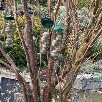 Wild Words from the Ground - October Wild Words from the Ground - October