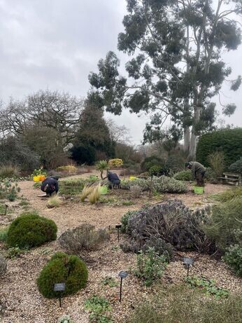 A look back at 2025 with the garden team A look back at 2025 with the garden team