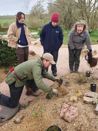 Garden connections planting at Benton End Garden connections planting at Benton End