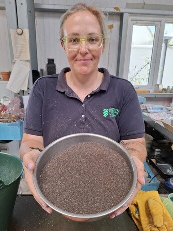 Weekly catch up with garden and propagation Weekly catch up with garden and propagation