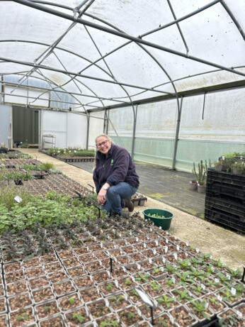 Weekly catch up with garden & propagation