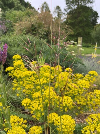 Gardening Dilemmas - Part 3 Gardening Dilemmas - Part 3