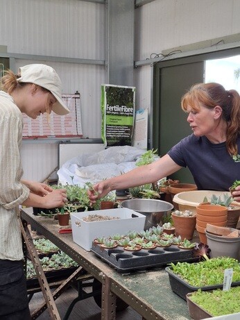 Weekly catch up with garden and propagation Weekly catch up with garden and propagation