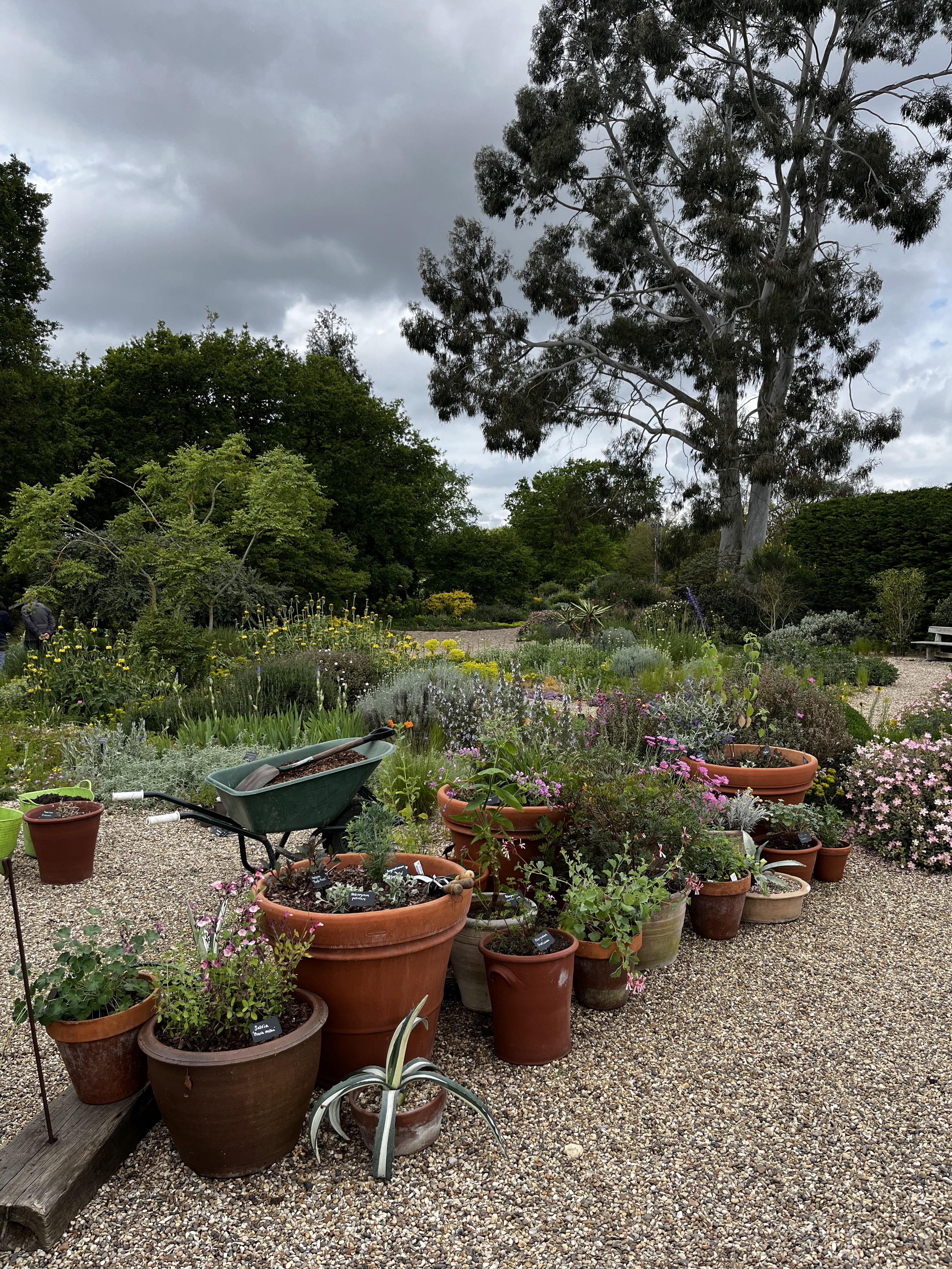 Weekly catch up with garden & propagation