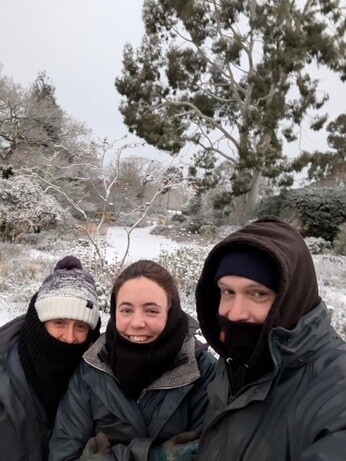 Weekly catch up with garden & propagation