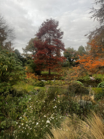 Weekly catch up with garden & propagation Weekly catch up with garden & propagation