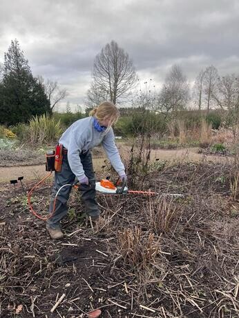 A look back at 2025 with the garden team A look back at 2025 with the garden team