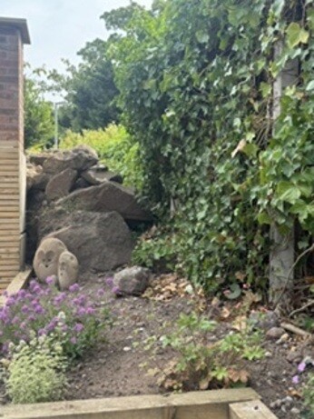 Gardening Dilemmas - Part 3 Gardening Dilemmas - Part 3