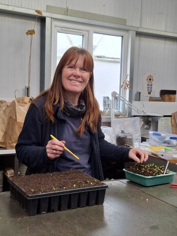 Weekly catch up with garden & propagation