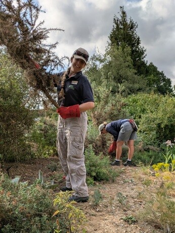 Weekly catch up with garden & propagation