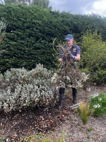 Weekly catch up with garden & propagation