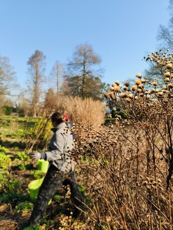 Weekly catch up with garden & propagation