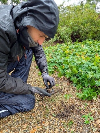 Weekly catch up with garden & propagation Weekly catch up with garden & propagation