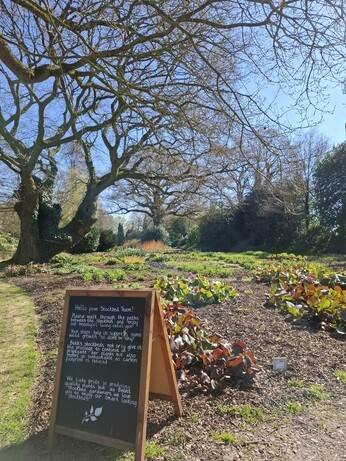Weekly catch up with gardens & propagation