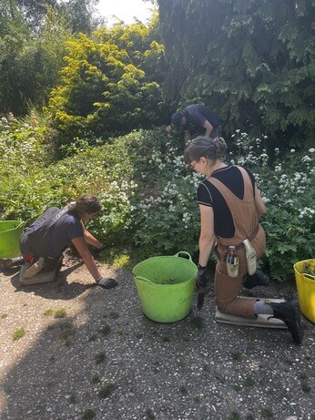 Weekly catch up with garden & propagation