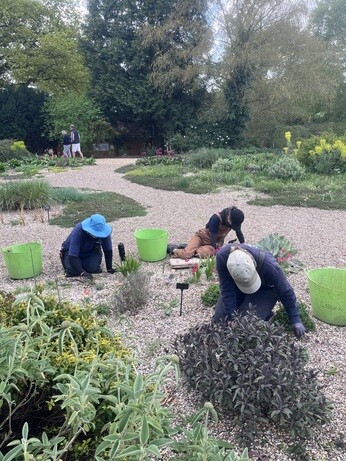 Weekly catch up with gardens & propagation