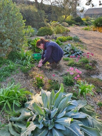 Our Propagation Expert Emily's Favourite Tools
