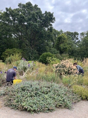 Weekly catchup with garden and propagation
