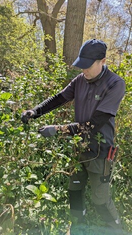 Weekly catch up with garden & propagation Weekly catch up with garden & propagation