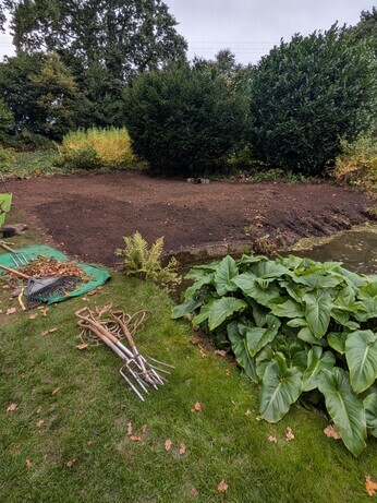 Weekly catch up with garden and propagation
