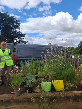 Weekly catch up with garden and propagation