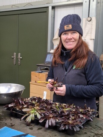 Weekly catch up with garden & propagation