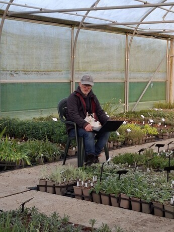 Weekly catch up with garden & propagation