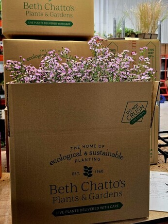 Weekly catch up with garden & propagation Weekly catch up with garden & propagation