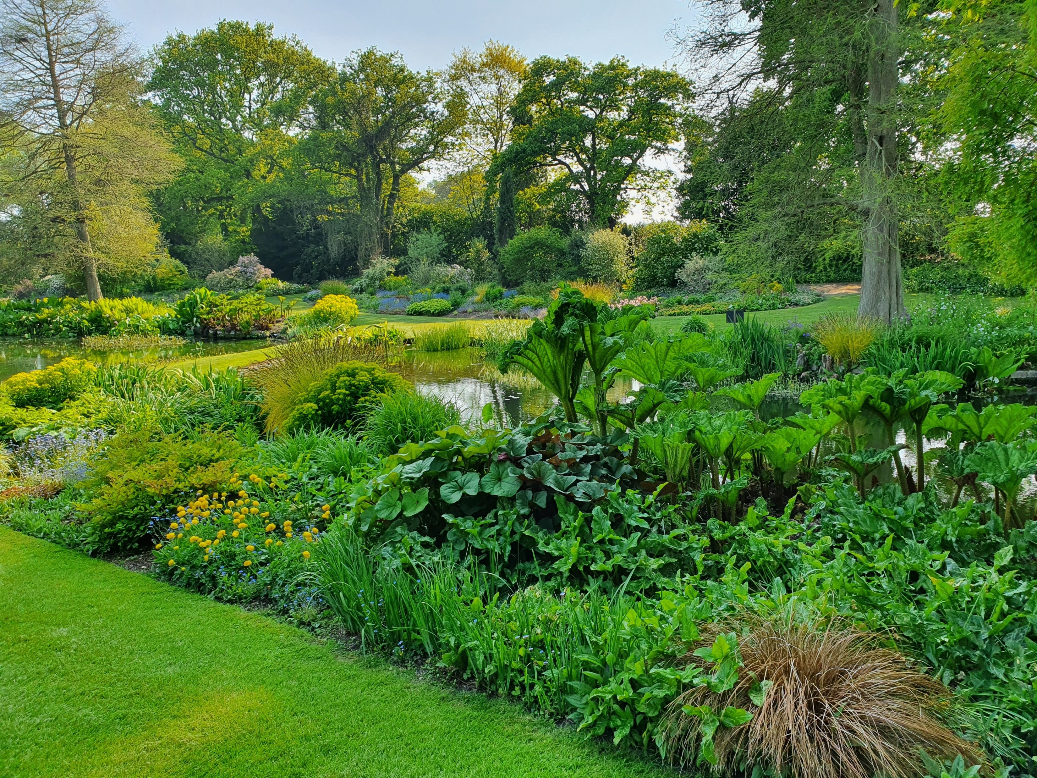 Fabulous foliage