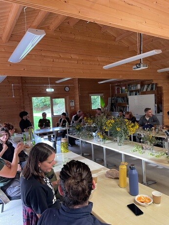 Weekly catch up with garden and propagation