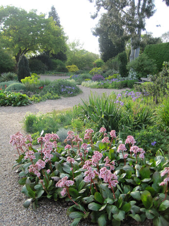 The gardens are bursting into bloom The gardens are bursting into bloom