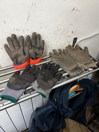 Weekly catch up with garden & propagation