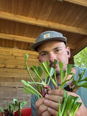Weekly catch up with garden and propagation Weekly catch up with garden and propagation