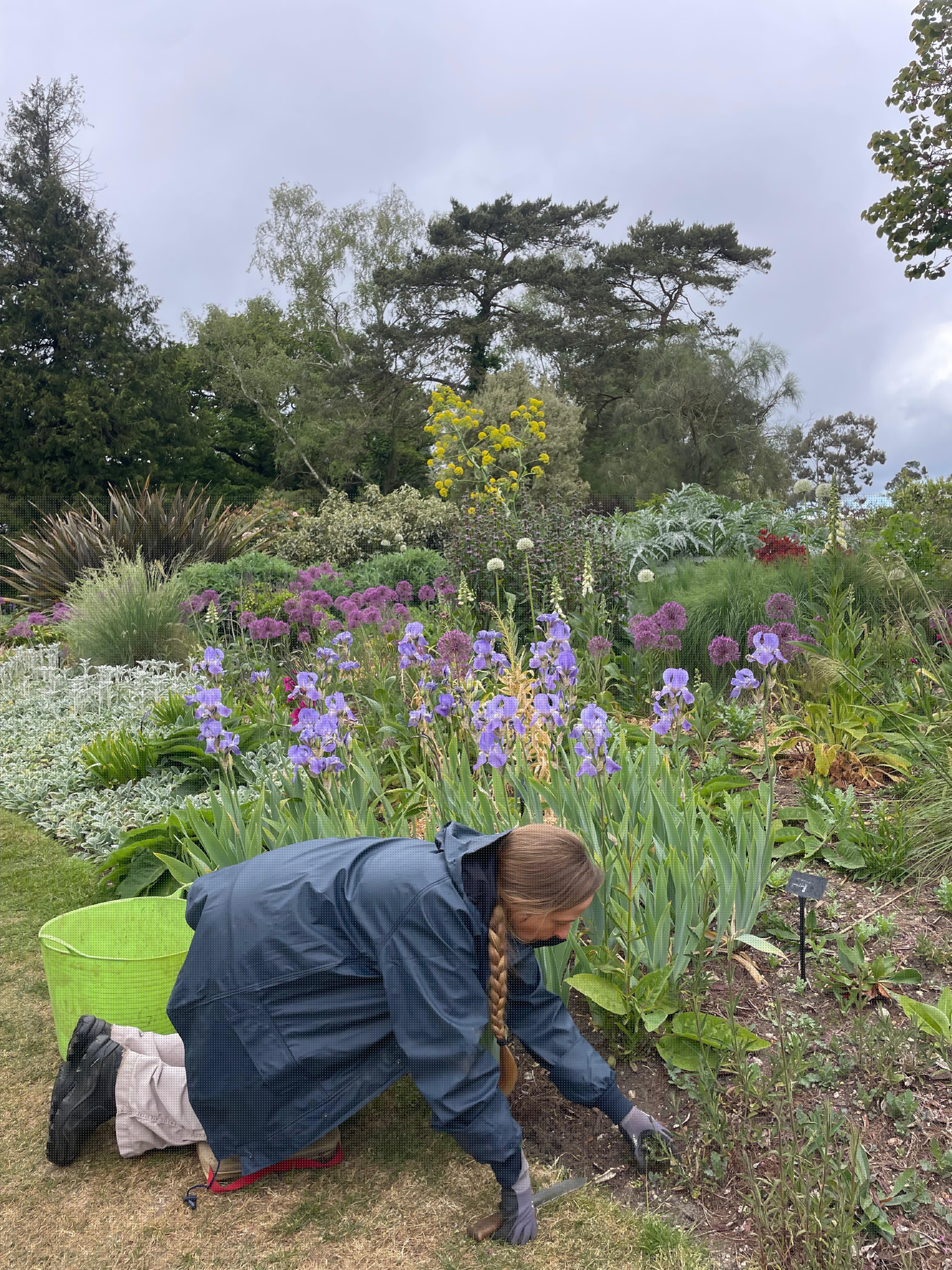 Weekly catch up with garden and propagation