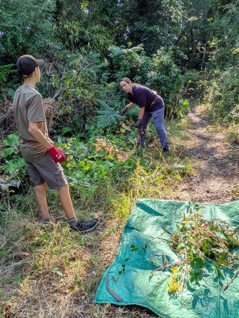 Weekly catchup with garden and propagation Weekly catchup with garden and propagation