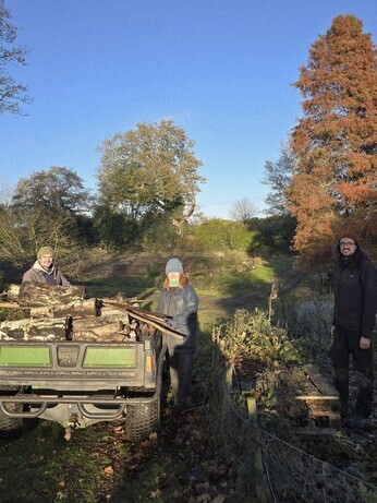 Weekly catch up with garden & propagation